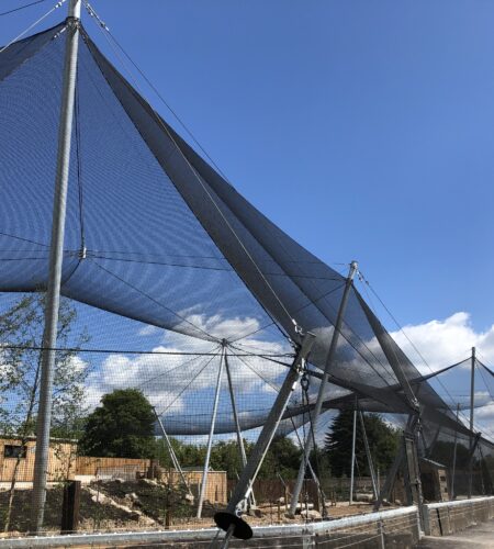 Tensioned aviary canopy