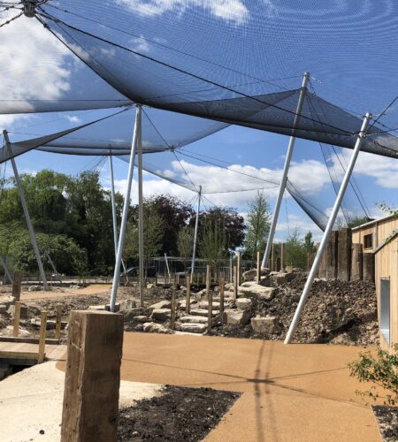 Architectural mesh aviary enclosure